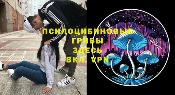 прущие грибы Аркадак