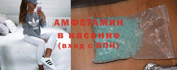 прущие грибы Аркадак