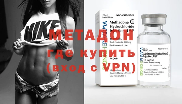 прущие грибы Аркадак