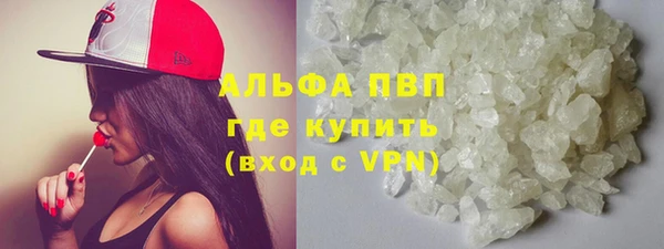 прущие грибы Аркадак