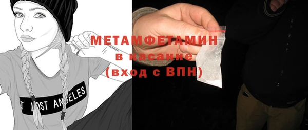 прущие грибы Аркадак
