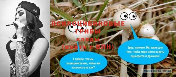 прущие грибы Аркадак