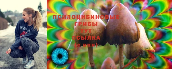 мескалин Арсеньев