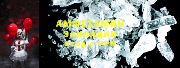 прущие грибы Аркадак